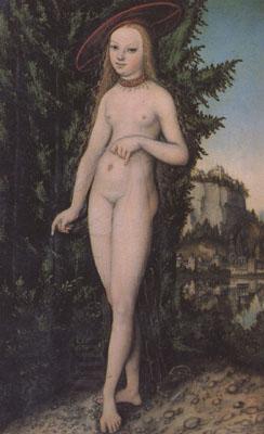 Lucas  Cranach Venus in a Landscape (mk05) oil painting picture